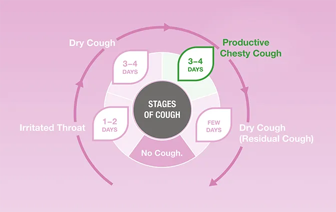 Grafic: Stages of cough & Active Components of Bronchostop syrup